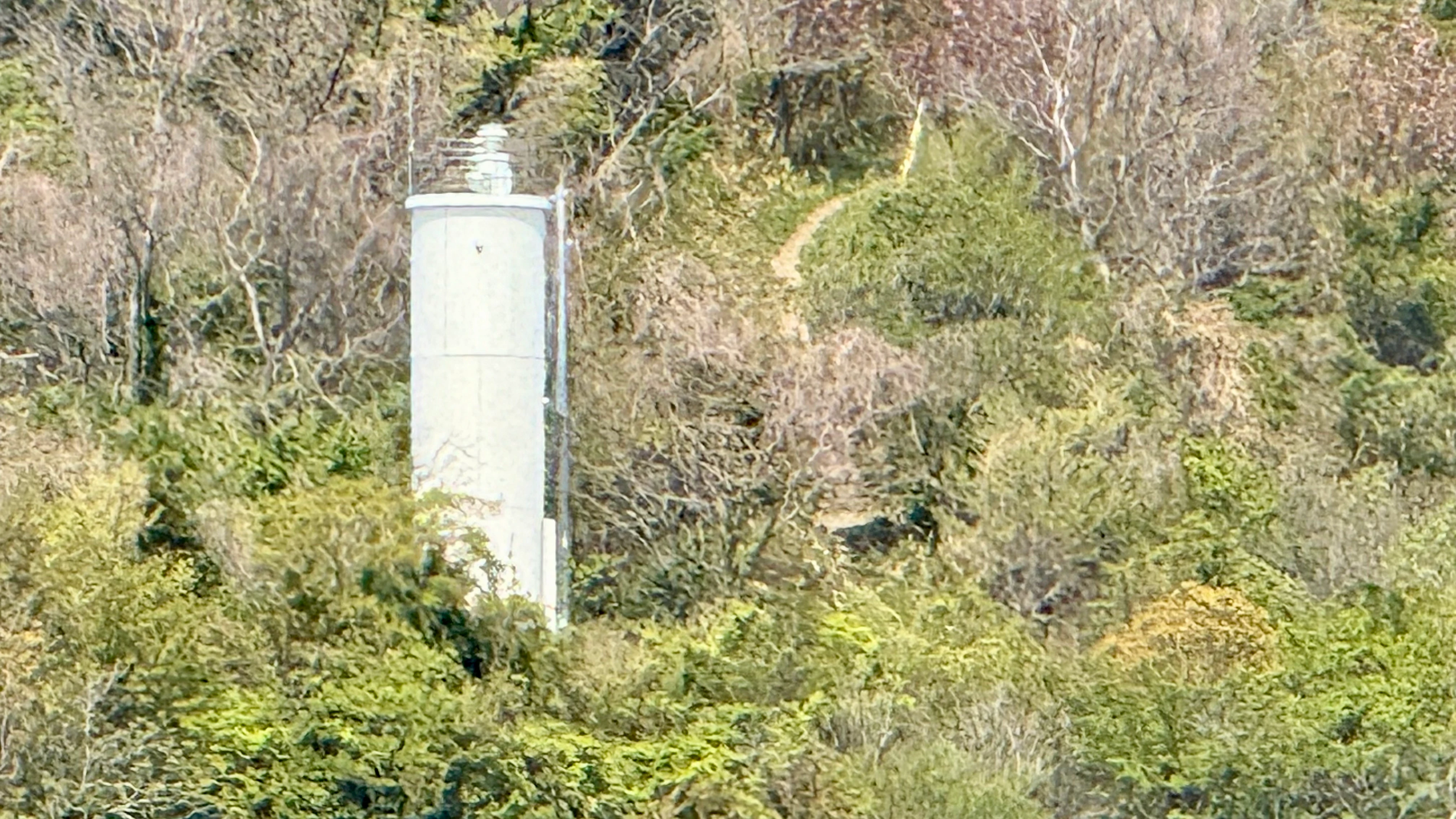 20250419_124931.jpg