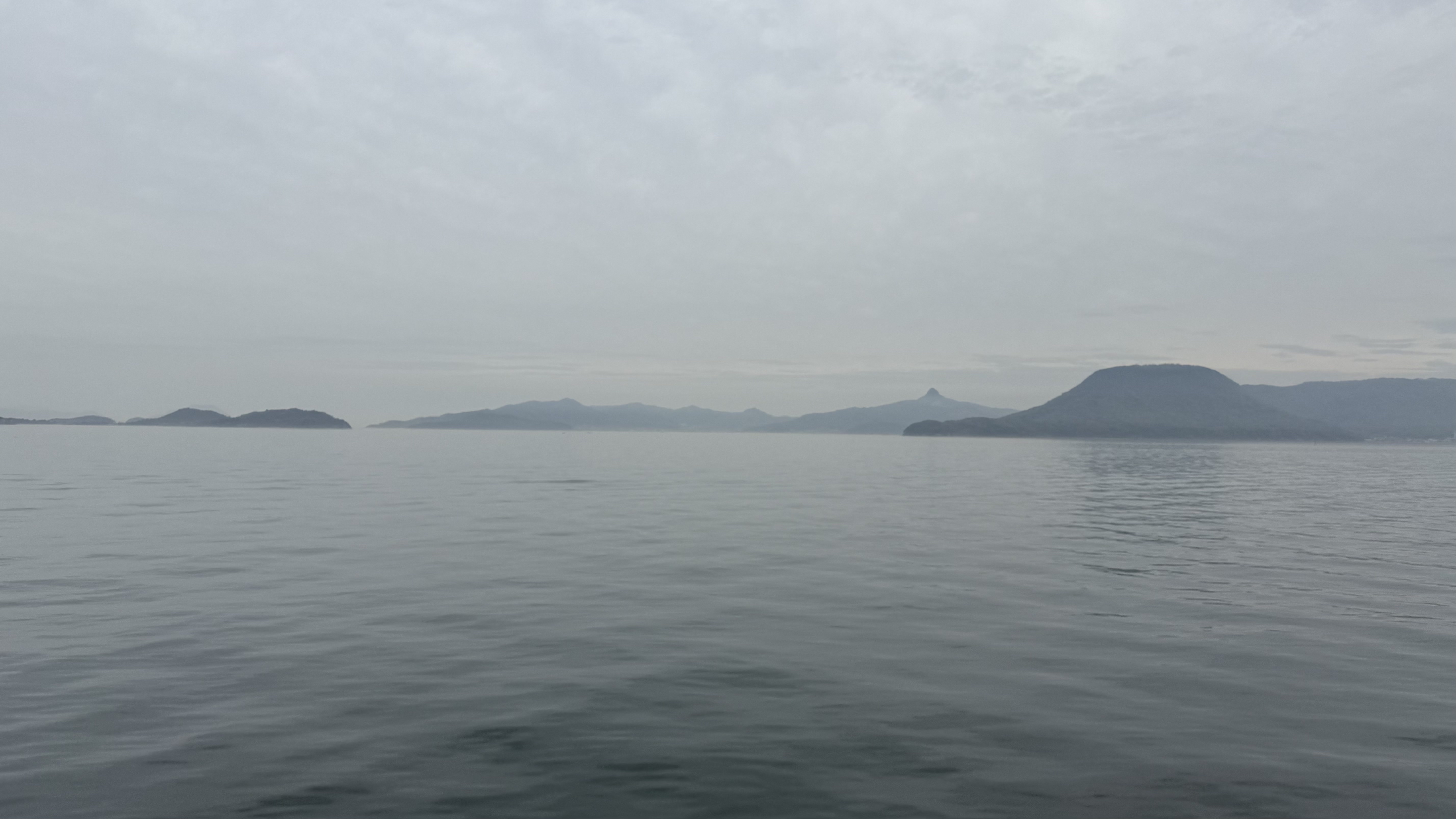 20250420_083106.jpg