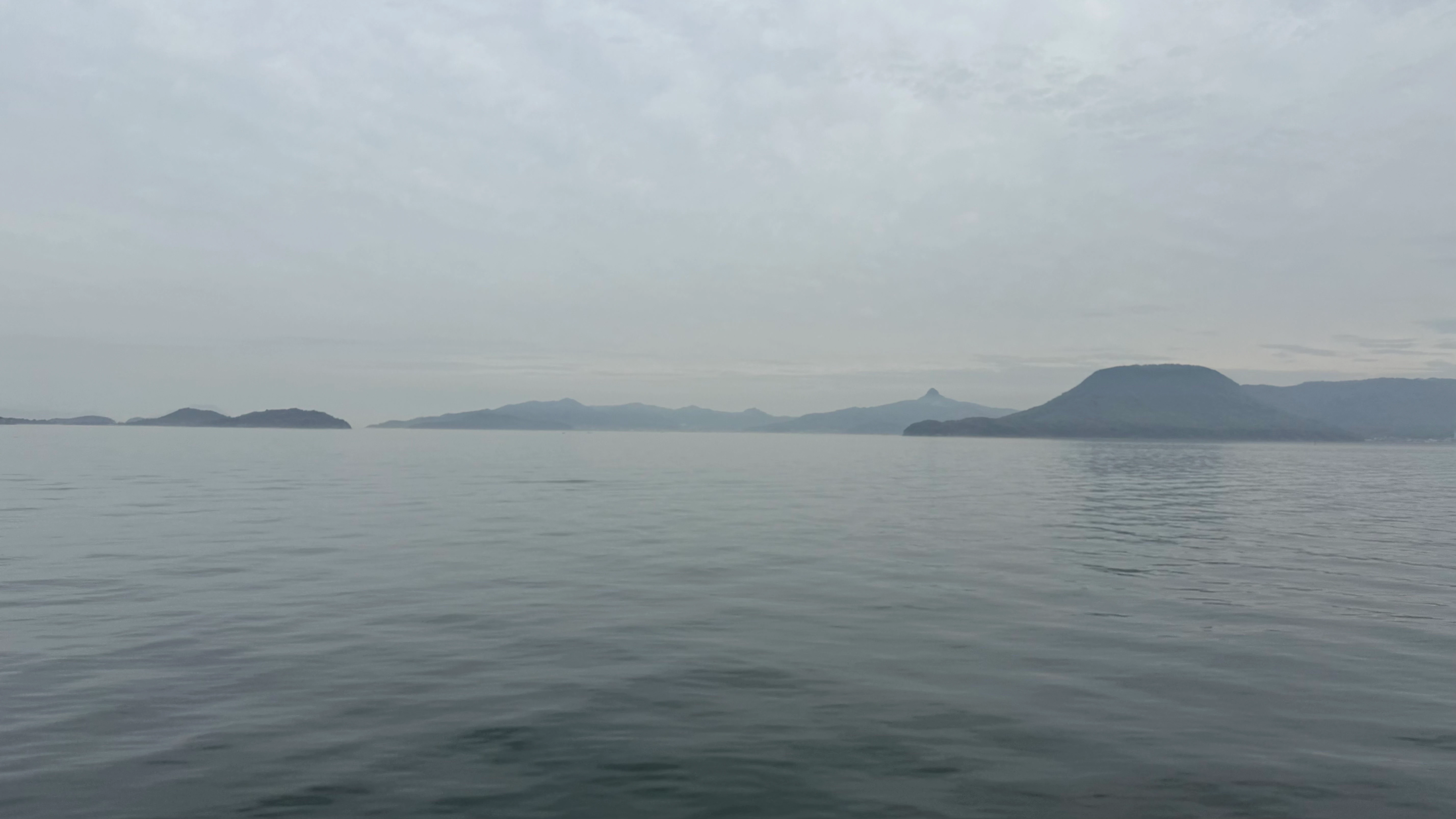 20250420_083106.jpg