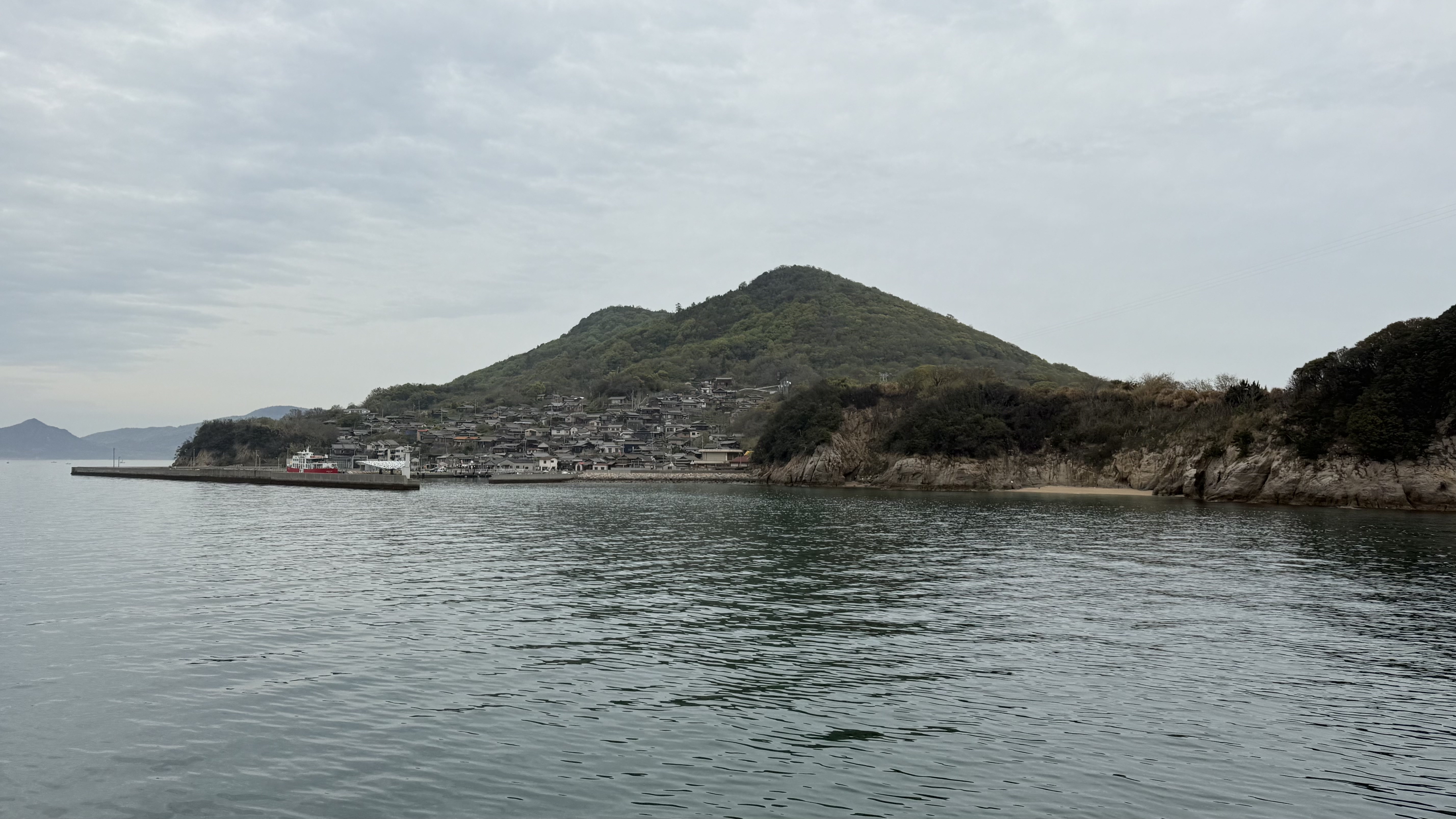 20250420_083857.jpg