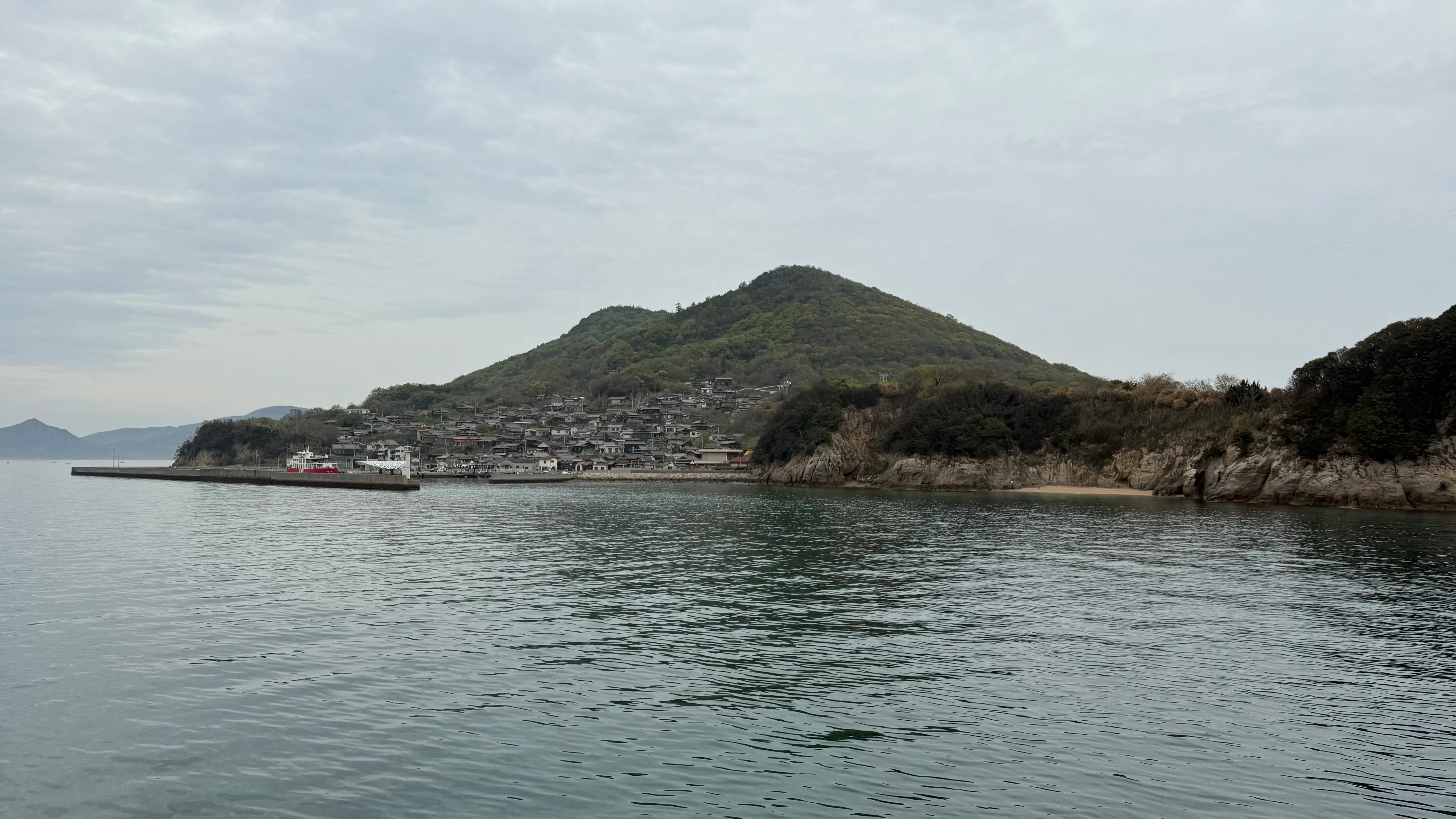 20250420_083857.jpg