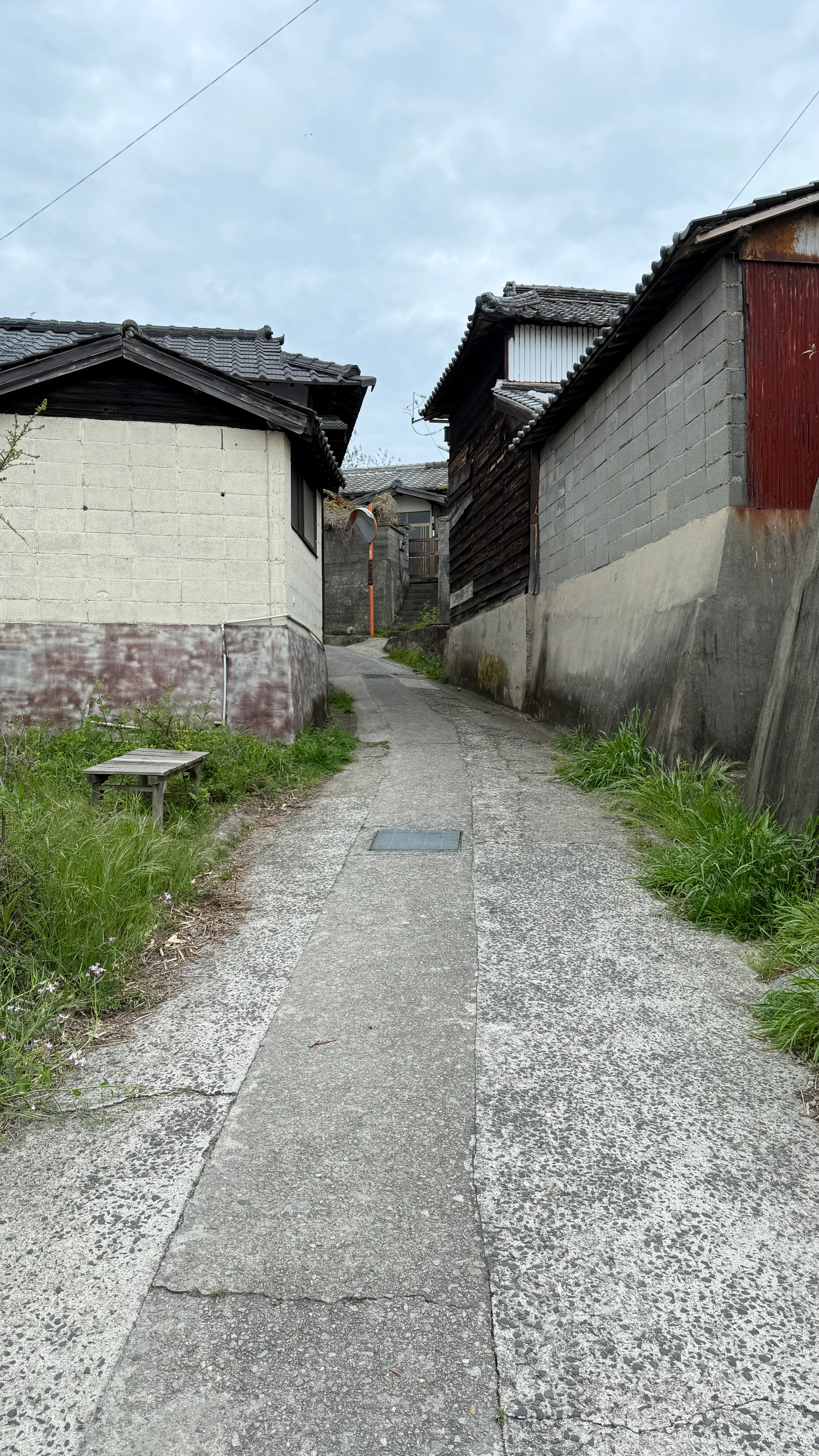 20250420_085300.jpg
