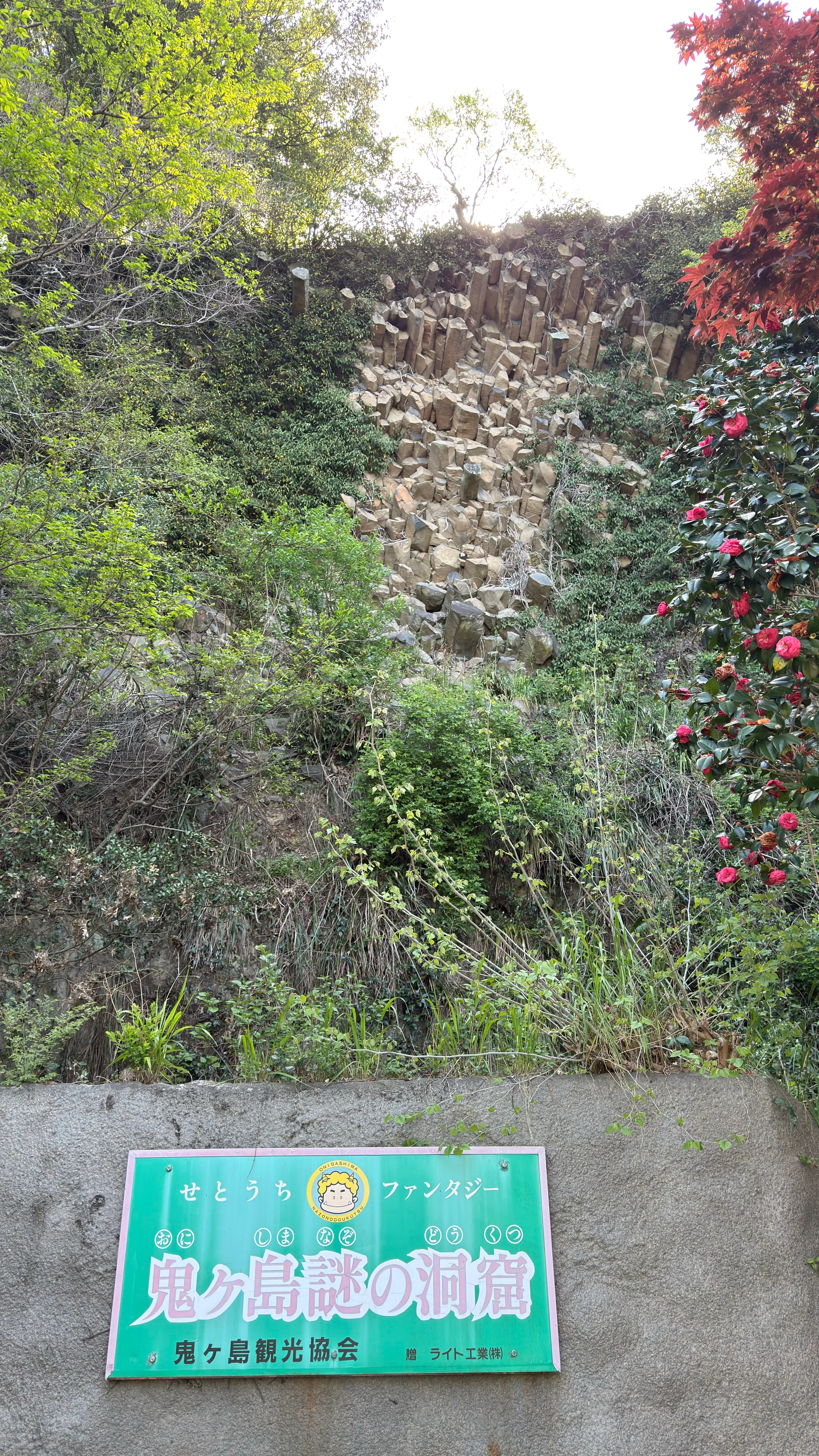 20250421_094110.jpg