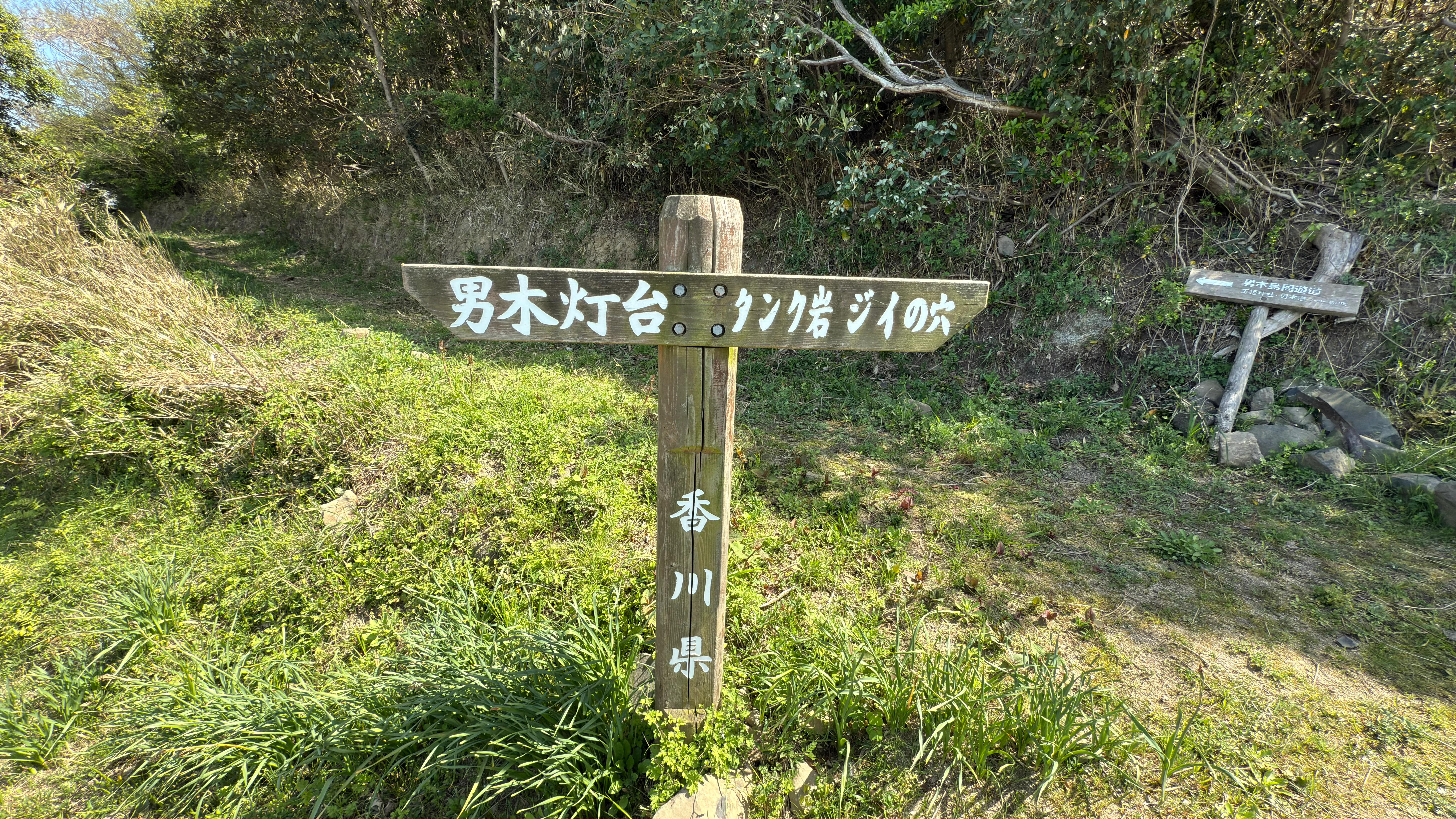 20250421_140226.jpg