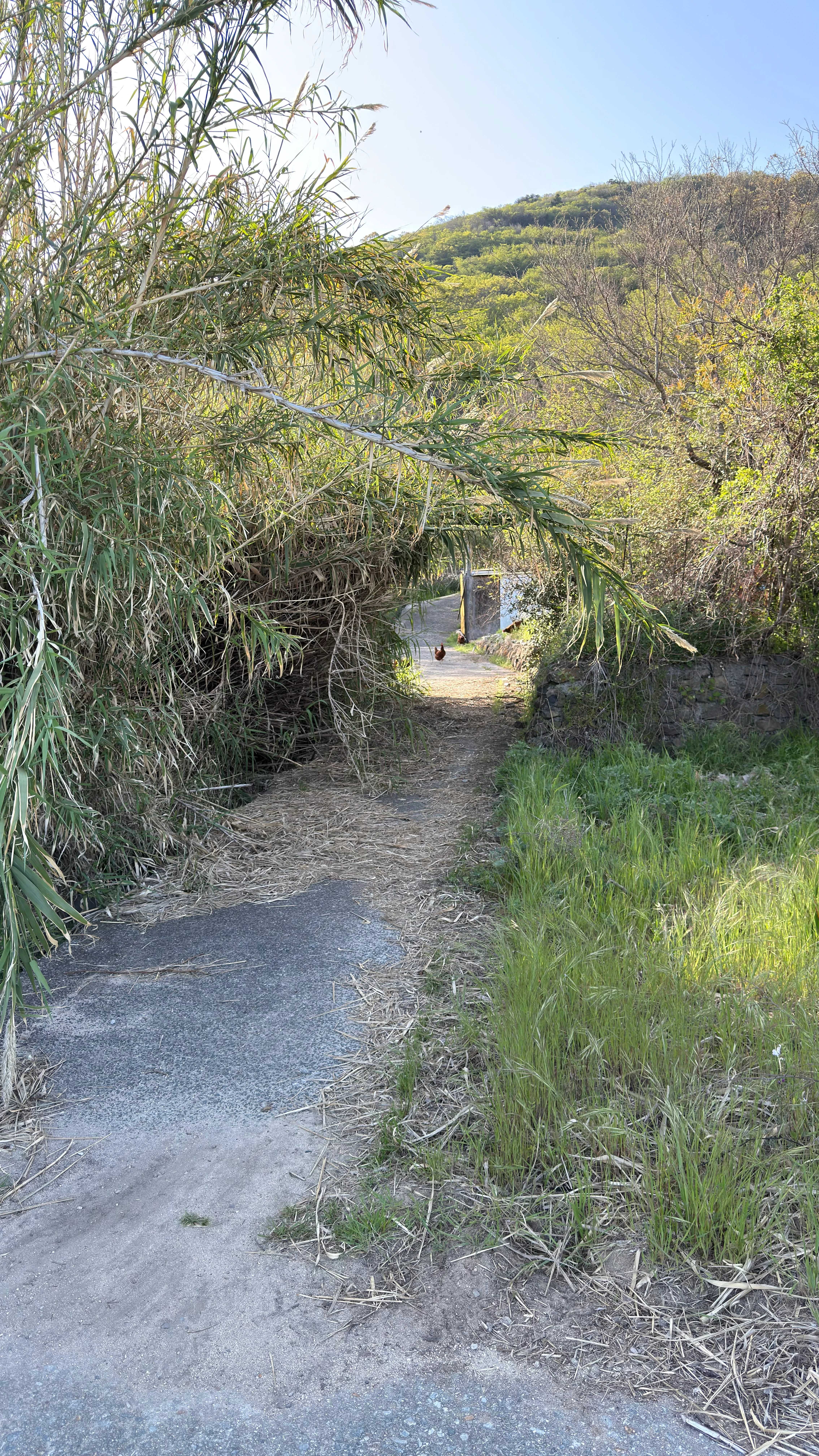 20250421_163615.jpg