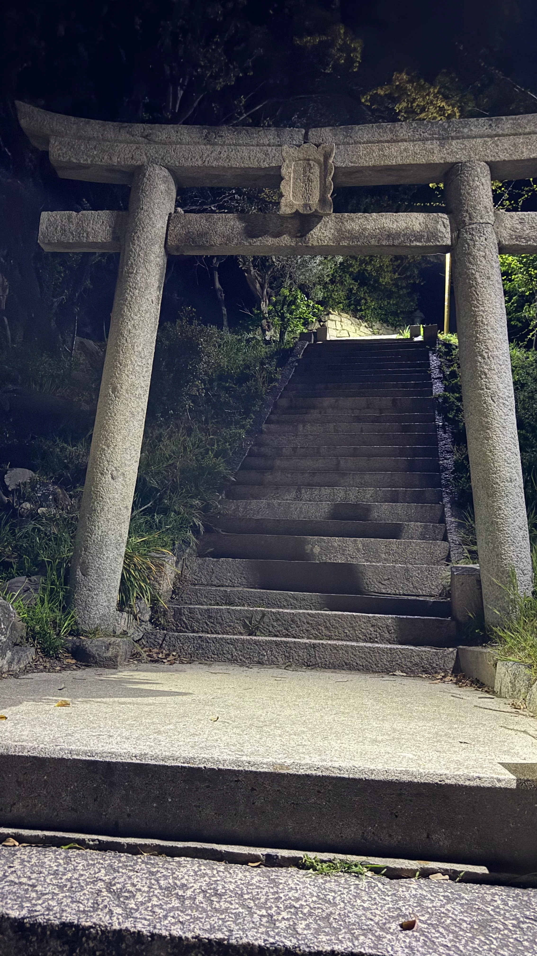 20250421_222833.jpg
